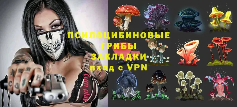 Галлюциногенные грибы Magic Shrooms  цена наркотик  Геленджик 